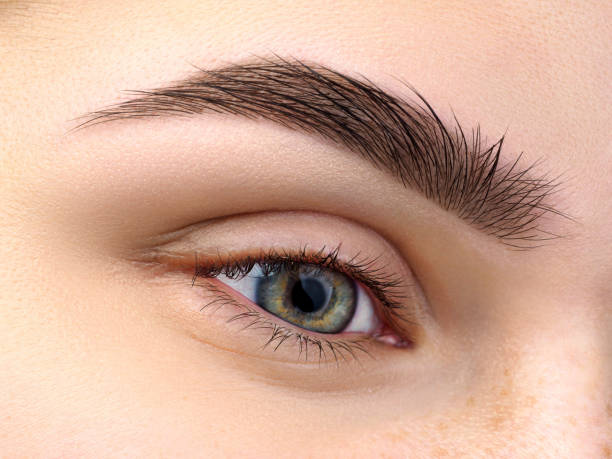 Which Is Better: Brow Pen or Brow Pencil?