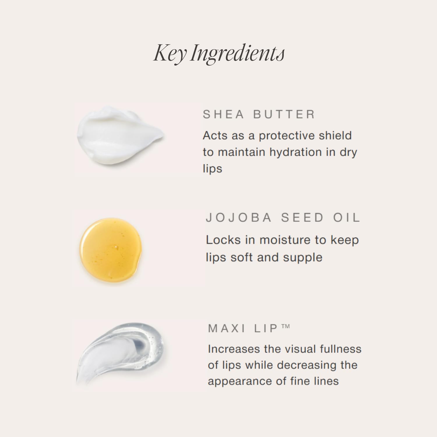 Jouer Essential Vegan Lip Enhancer - Plumping Lip Gloss - Enhancing Lip Conditioner - Moisturize, Plump, & Nourishing Lip Care - Jojoba Seed Oil & Maxi Lip Formula for Moisturizing and Fullness, Rose
