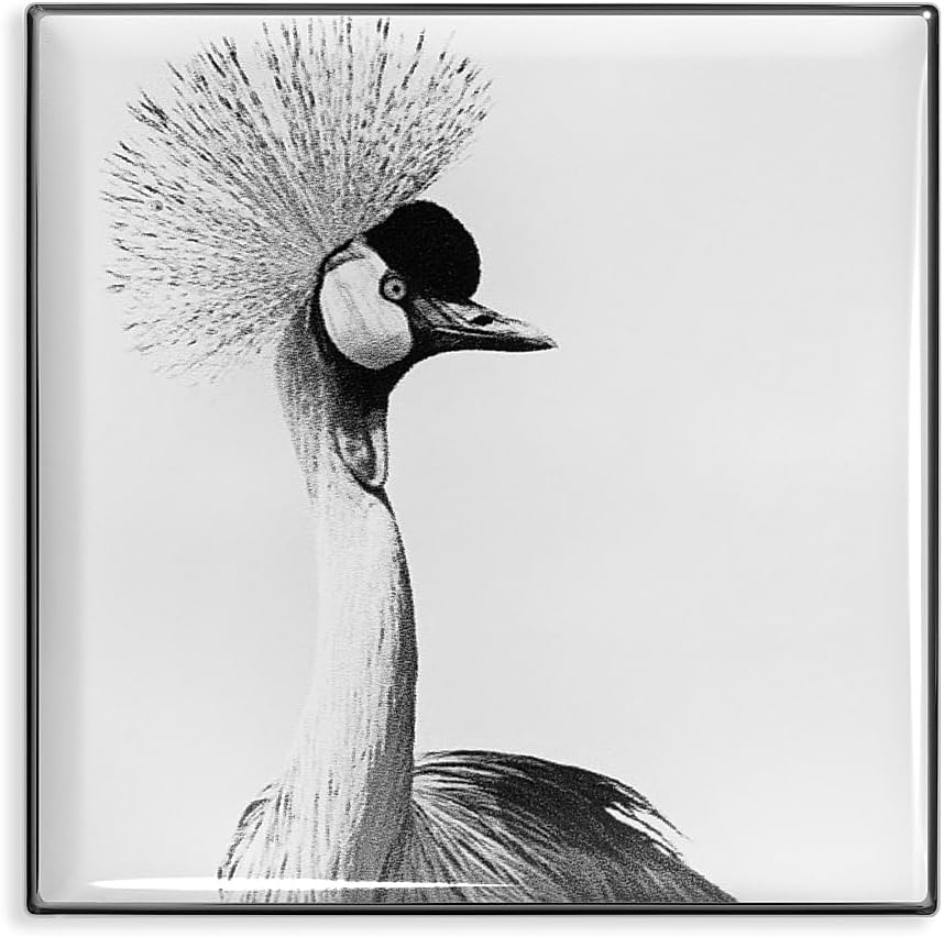 Amazon.com: Chantecaille, Luminescent Eye Shade, Crane : Amazon Luxury