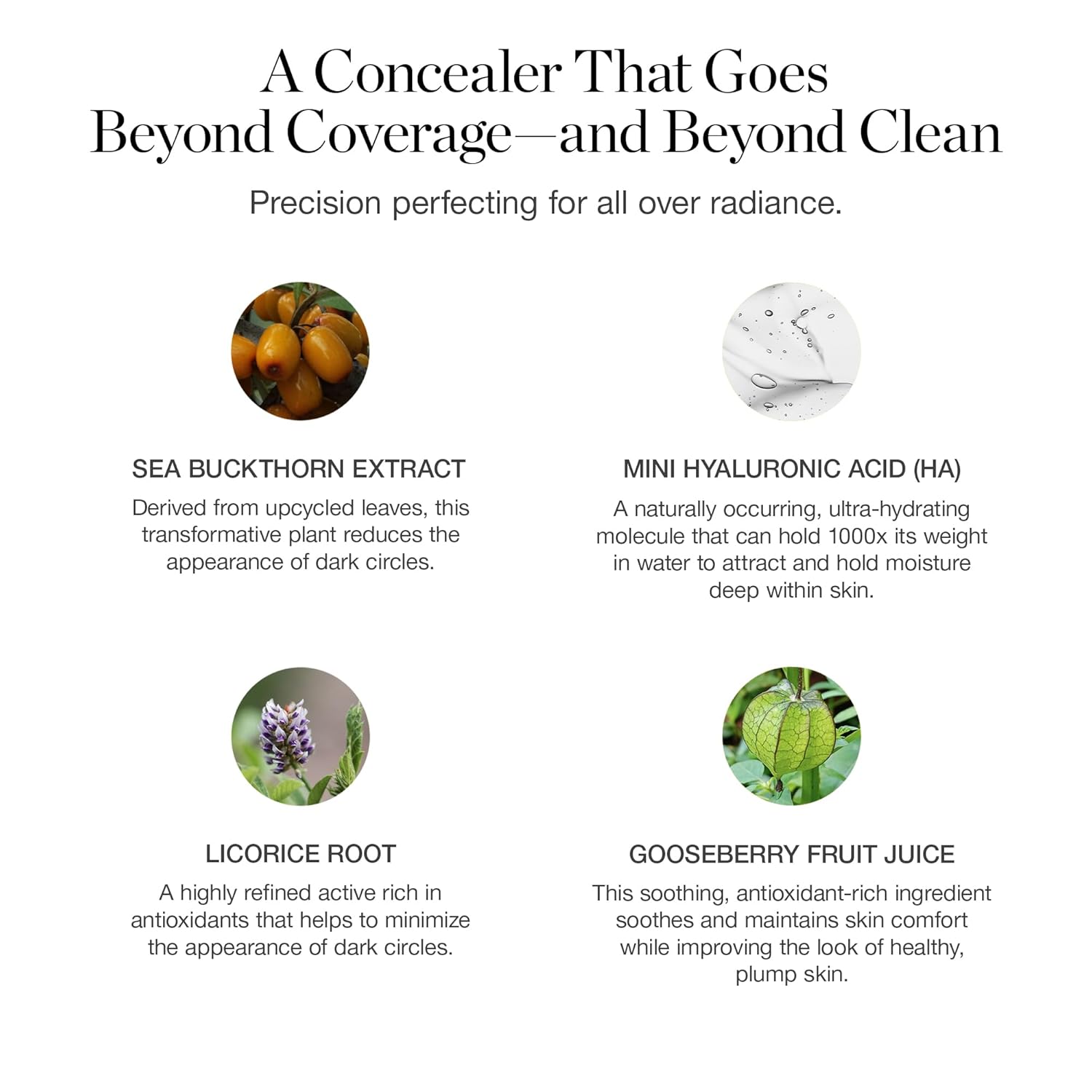 Ogee Complexion Perfecting Under Eye Concealer - Certified Organic Full Coverage Concealer - Buildable Coverage - TUPELO 0.20C - Fair (Warm Undertones)