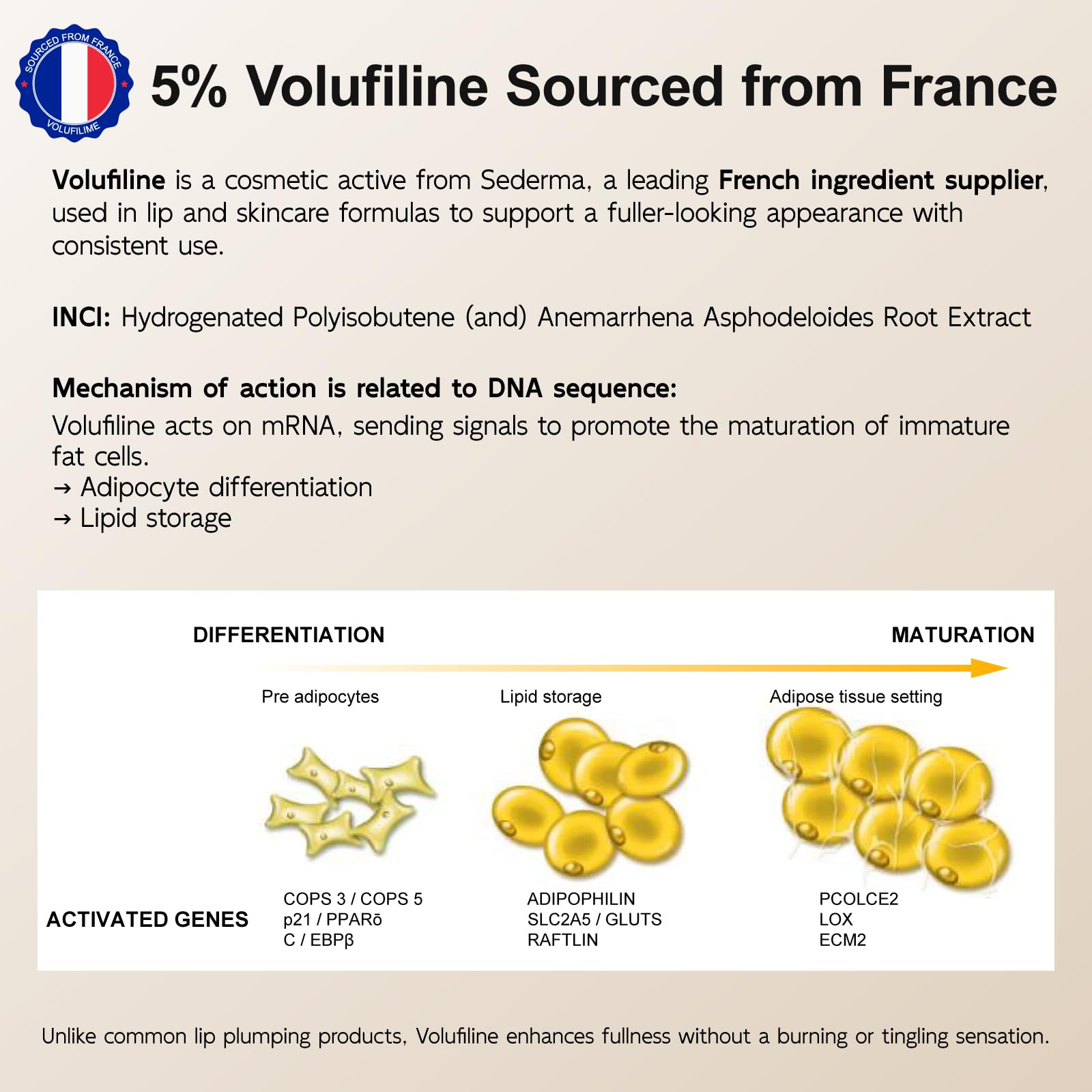 YouthVibe 5% Volufiline Lip Balm & Gloss, Hydrating Lip Care with Shea Butter, Collagen, Peptide & PDRN - Fuller-Looking Lips Over Time, No Burning or Tingling, Non-Sticky Essence - Clear