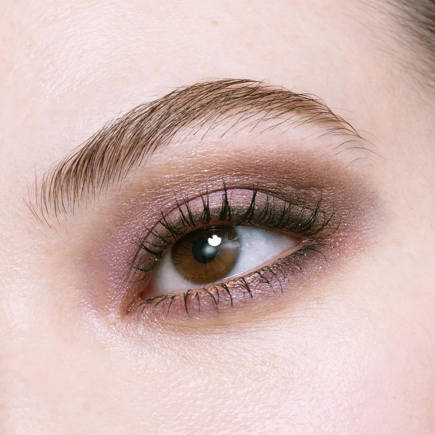 Amazon.com: Eye Color Quad 504 Holiday 2025 : Amazon Luxury