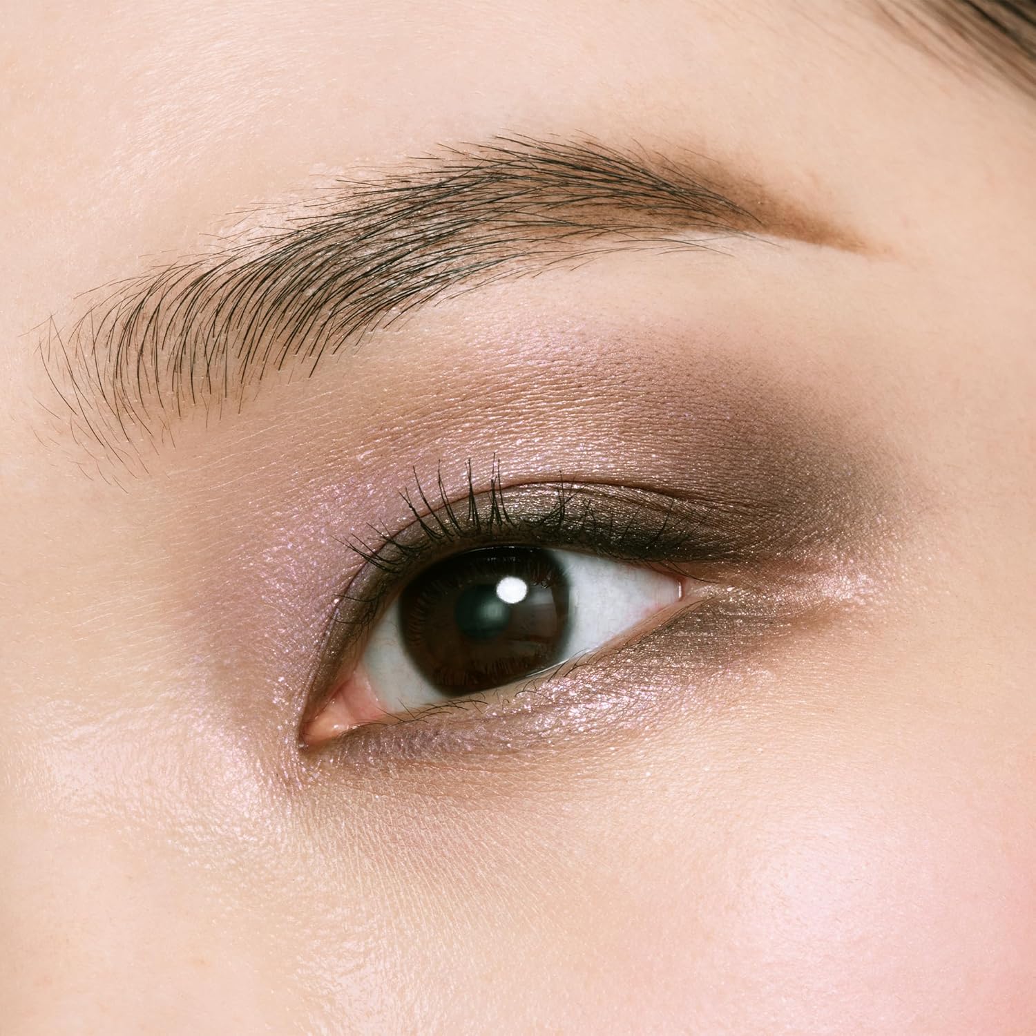 Amazon.com: Eye Color Quad 504 Holiday 2025 : Amazon Luxury