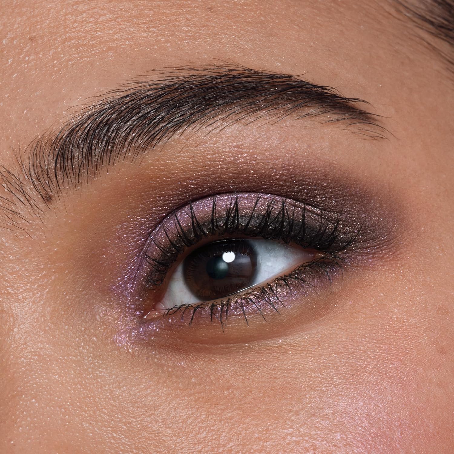 Amazon.com: Eye Color Quad 504 Holiday 2025 : Amazon Luxury